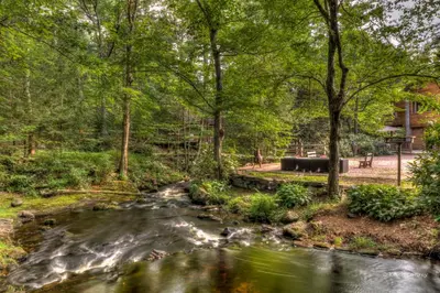 a stream in a park with trees at Magnolia Streamside Resort in Canadensis