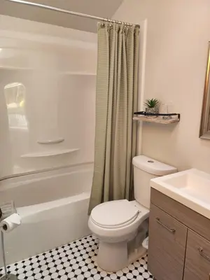 a bathroom with a toilet and a sink and a shower at Magnolia Streamside Resort in Canadensis