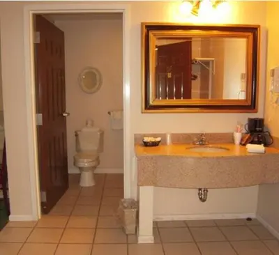a bathroom with a sink and a toilet and a mirror at Colonie Inn and Suites in Latham