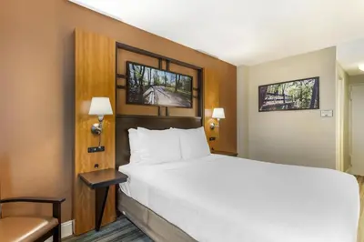 a hotel room with a bed and a chair and two windows at Best Western Queens Gold Coast in Queens