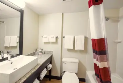 a bathroom with a sink and a toilet and a mirror at Red Roof Inn PLUS+ South Deerfield - Amherst in South Deerfield
