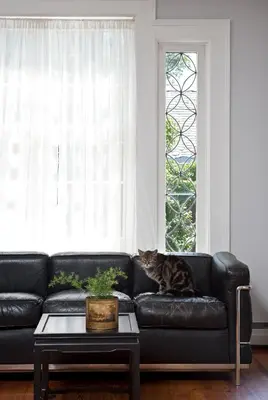 a cat sitting on a leather couch in a living room at Hudson B&B in Hudson