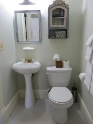 a bathroom with a white toilet and a sink at Cooperstown Bed and Breakfast in Cooperstown