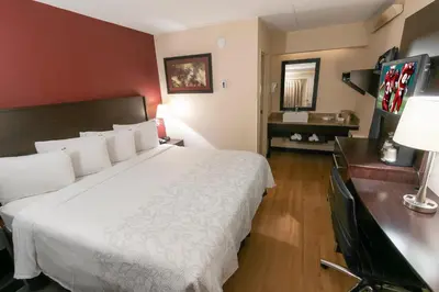 a hotel room with a large bed and a desk at Red Roof Inn PLUS+ West Springfield in Springfield