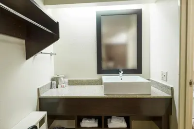 a bathroom with a sink and a mirror at Red Roof Inn PLUS+ West Springfield in Springfield