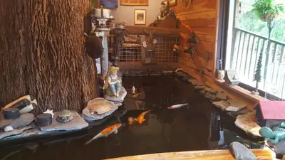 a koi pond in a room with a tree at Whisperin' Pines Chalet in Cooperstown