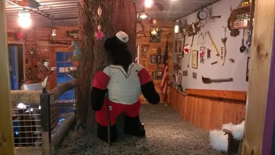 a person dressed in a costume in a room at Whisperin' Pines Chalet in Cooperstown