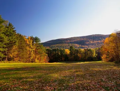 a large field with trees and mountains in the background at Eastover Estate and Eco Village in Lenox