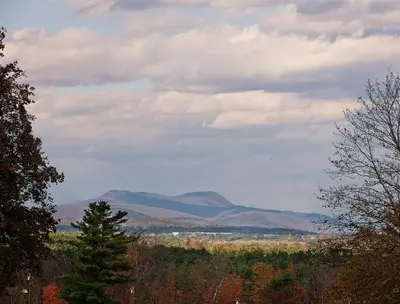a view of mountains in the distance with a tree at Eastover Estate and Eco Village in Lenox