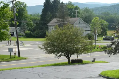 a tree on the side of a street with a house at Cozy Corner Motel in Williamstown