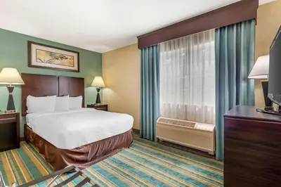 a hotel room with a bed and a window at Best Western Plus Berkshire Hills Inn & Suites in Pittsfield