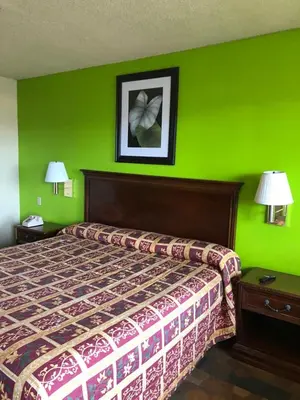a bedroom with a green wall with a bed and lamps at Travel Inn Motel in Hartford