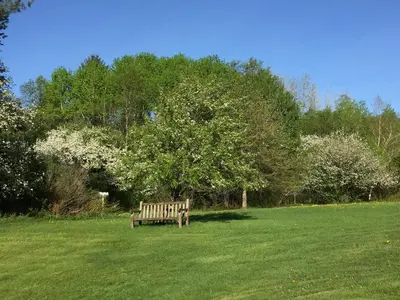 a wooden bench in a field with a tree at The Nutmeg Vermont in Wilmington