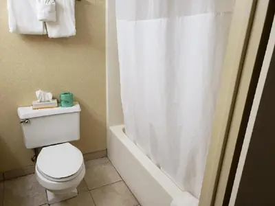 a bathroom with a toilet and a shower curtain at Chateau Resort & Conference Center in Tannersville