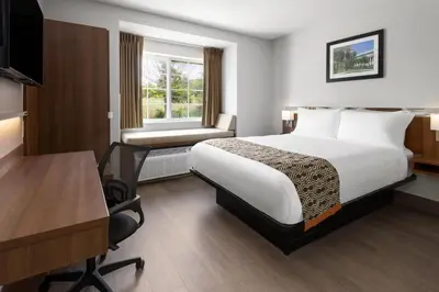 a hotel room with a bed and a desk and a window at Microtel Inn by Wyndham - Albany Airport in Latham