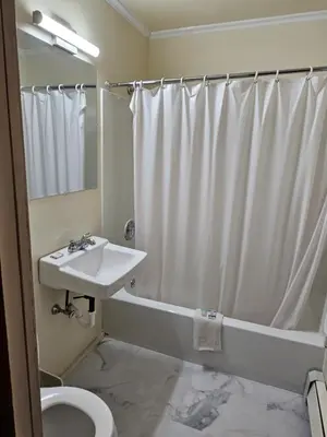 a bathroom with a sink and a toilet and a shower at Alpenhaus Motel in Queensbury