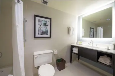 a bathroom with a toilet and a sink and a mirror at DoubleTree by Hilton Binghamton in Binghamton