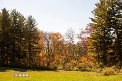 a group of chairs in a field with trees at The Litchfield Inn in Litchfield
