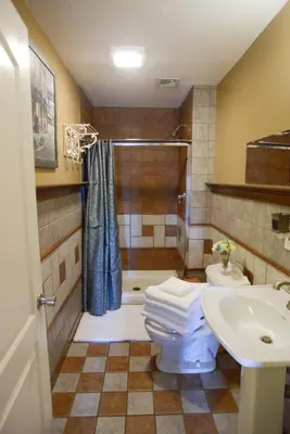 a bathroom with a shower and a toilet and a sink at Naomi's Inn Bed & Breakfast in Springfield