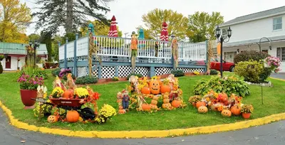 a display of pumpkins in the grass in a yard at Williamstown Motel in Williamstown