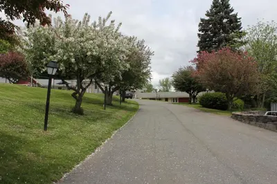 a street with trees on the side of a road at Berkshire Inn in Pittsfield