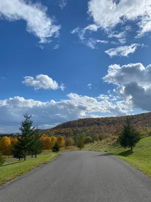 an empty road in the middle of a field at August Lodge Cooperstown in Hartwick Seminary