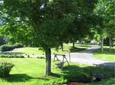 a tree in a park with a bench under it at Four Seasons Motel in Catskill