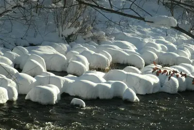 a group of snow covered bushes next to a river at Townhouse W Private Deck & Mt View in Windham