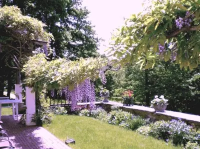 a garden with purple flowers and a bench at Whistler's Inn in Lenox