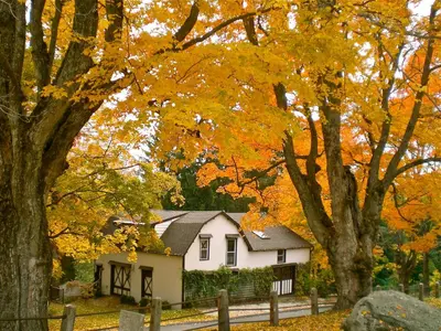 a small white house in the middle of trees at Whistler's Inn in Lenox