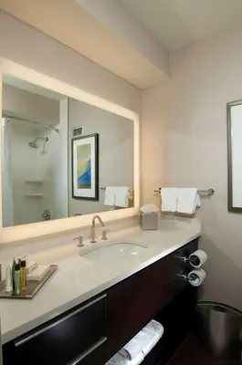 a bathroom with a sink and a large mirror at Hilton Albany in Albany