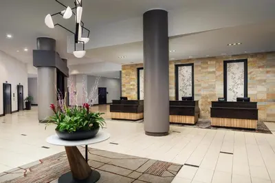 a lobby with a potted plant on a table at Hilton Albany in Albany