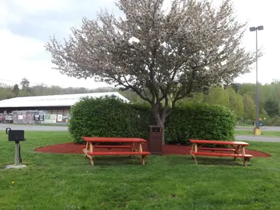 two picnic tables in a park with a tree at Super 8 by Wyndham Sidney NY in Sidney