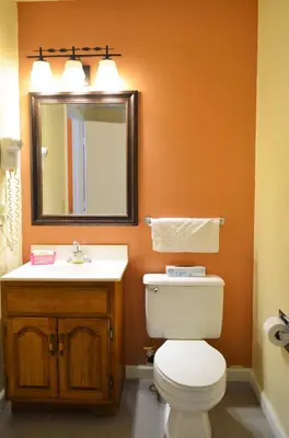 a bathroom with a toilet and a sink and a mirror at Enfield Inn in Enfield