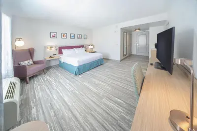 a hotel room with a bed and a tv at Hilton Garden Inn Clifton Park in Clifton Park