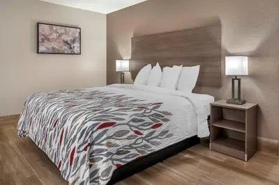 a hotel room with a bed with a colorful bedspread at Red Roof Inn Queensbury in Queensbury