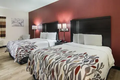 two beds in a hotel room with red walls at Red Roof Inn Binghamton North in Binghamton