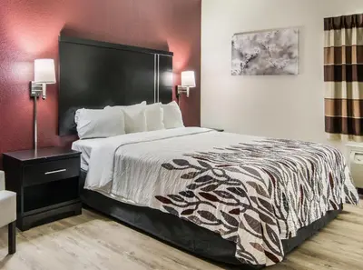 a bedroom with a large bed with a black and white comforter at Red Roof Inn Binghamton North in Binghamton