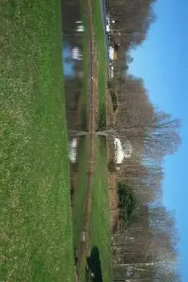 a field with a reflection of a tree in the water at Paramount Motel Pocono in East Stroudsburg