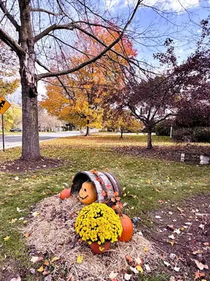 a teddy bear laying on the ground in a field at Maple Terrace Motel in Williamstown