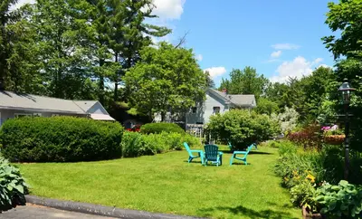 a yard with two blue chairs in the grass at Maple Terrace Motel in Williamstown