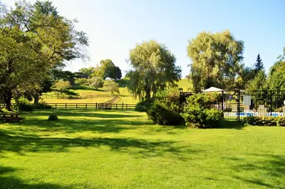 a field of grass with trees and a fence at Maple Terrace Motel in Williamstown