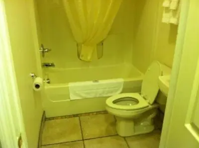a bathroom with a toilet and a tub with a sink at Waterford Inn in Waterford