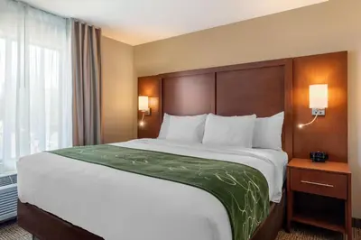 a hotel room with a large bed and a window at Comfort Inn & Suites Schenectady - Scotia in Schenectady