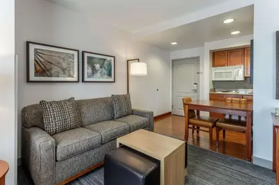 a living room with a couch and a table at Homewood Suites by Hilton Albany in Albany