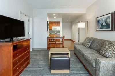 a living room with a couch and a flat screen tv at Homewood Suites by Hilton Albany in Albany