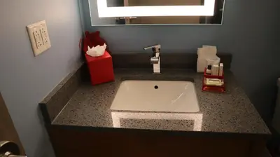 a bathroom counter with a sink and a mirror at The Alder in Monticello