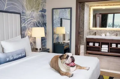 a dog laying on a bed in a hotel room at Hotel Indigo Flushing - LaGuardia in Queens