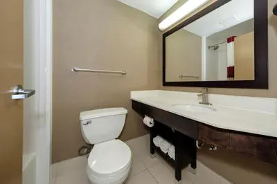 a bathroom with a toilet and a sink and a mirror at Red Roof Inn & Suites Newburgh - Stewart Airport West Point in New Windsor