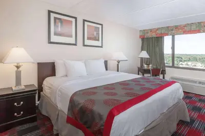 a hotel room with a large bed and a window at Albany Plaza Hotel in Albany